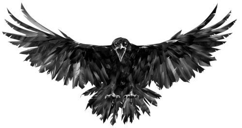 The Curios Raven